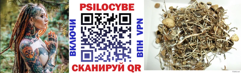 Купить где  Нурлат  Псилоцибиновые грибы Cubensis 